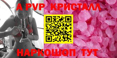 индика Сланцы
