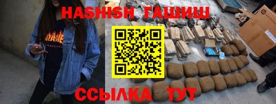 индика Сланцы