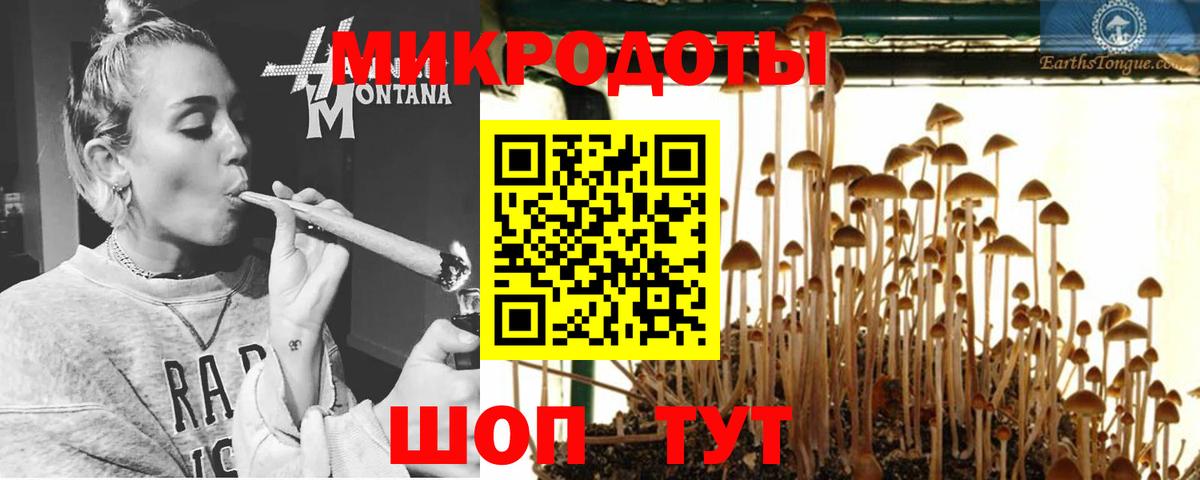 Галлюциногенные грибы мухоморы Славянск-на-Кубани